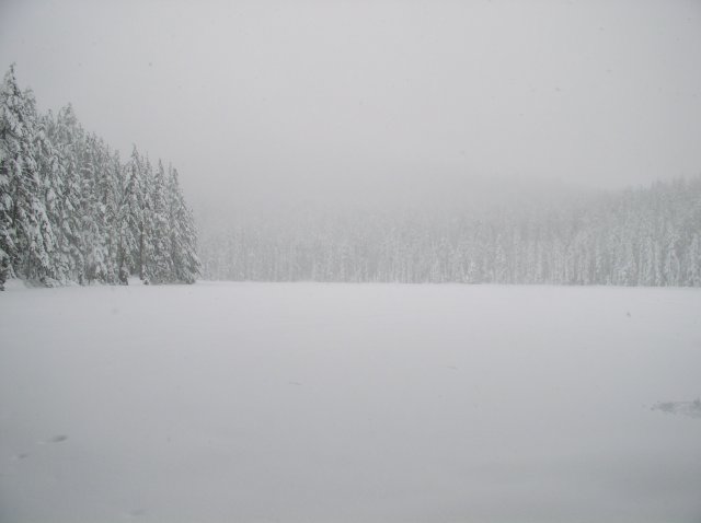 Frog Lake Snowshoe Jan 21 2005 014 